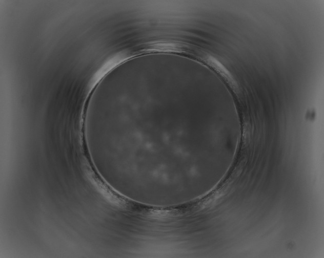 X0000091551378200708241746