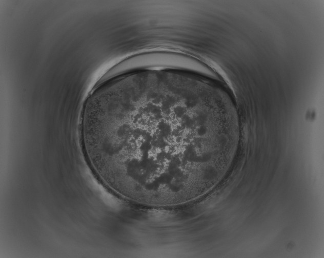 X0000091551379200708241746