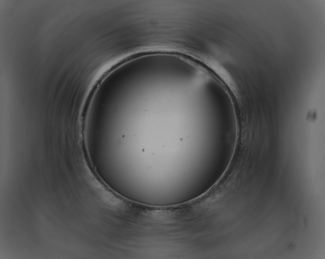 X0000091551380200708241746