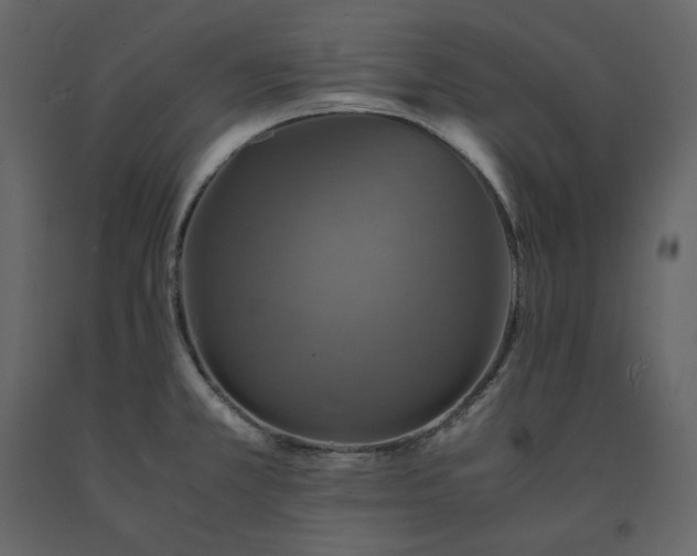 X0000091551381200708241746