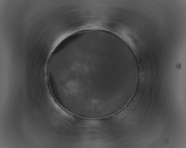 X0000091551382200708241746