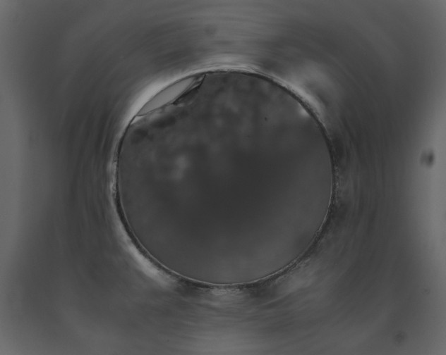 X0000091551383200708241746