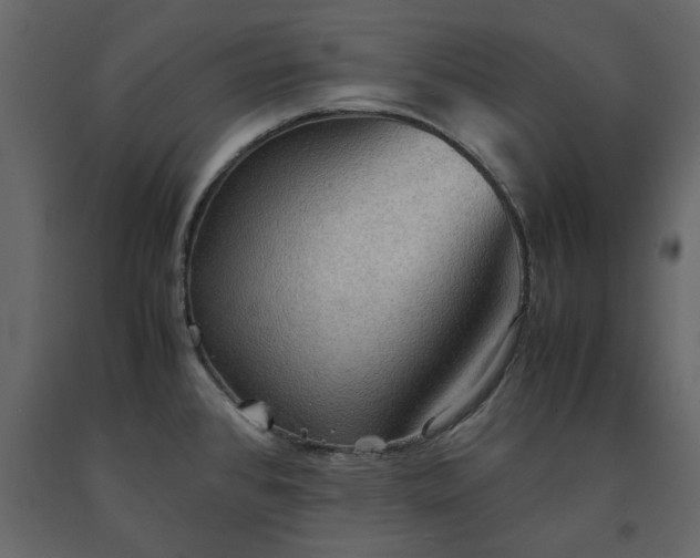 X0000091551384200708241746