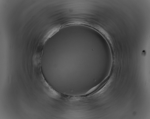 X0000091551385200708241746