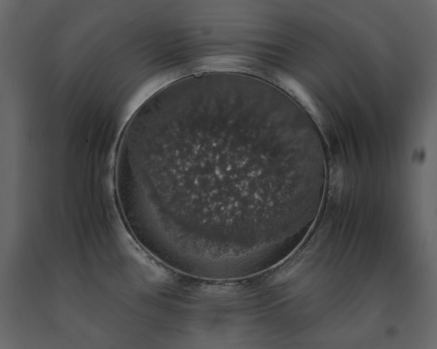 X0000091551386200708241746