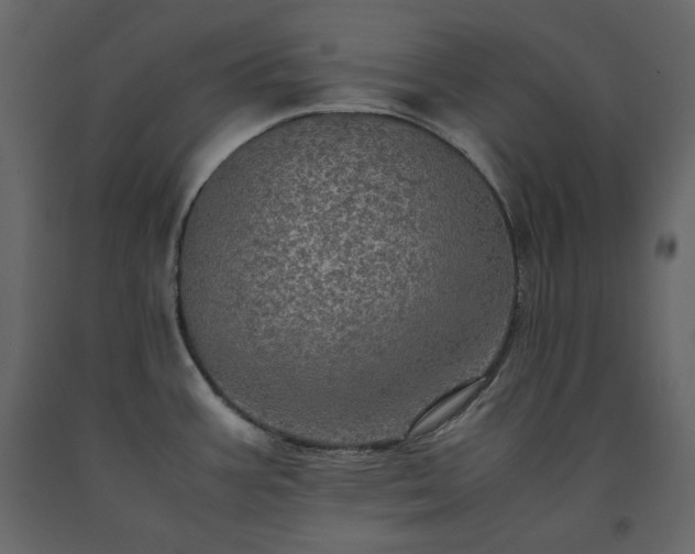 X0000091551387200708241746
