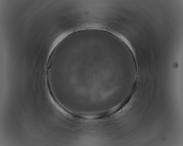 X0000091551389200708241746