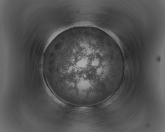 X0000091551390200708241746