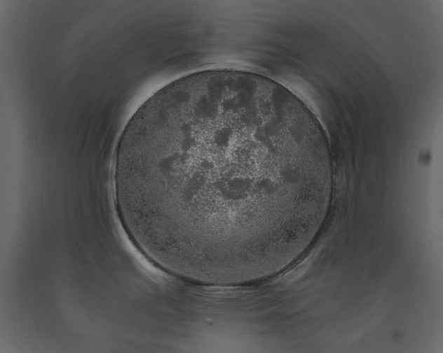 X0000091551391200708241746
