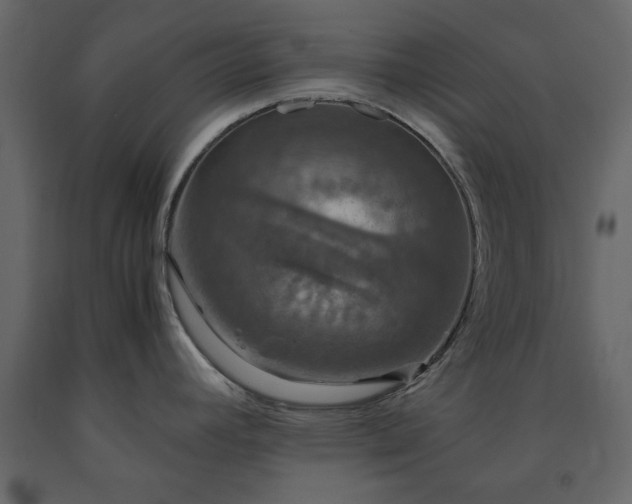 X0000091551392200708241746