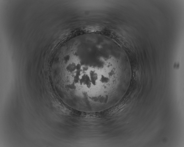 X0000091551393200708241745