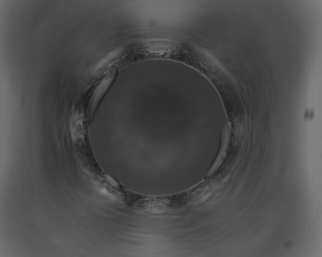 X0000091551394200708241745