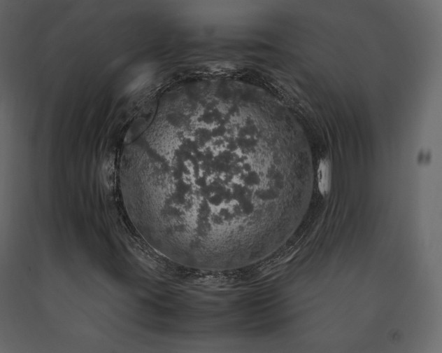 X0000091551395200708241745