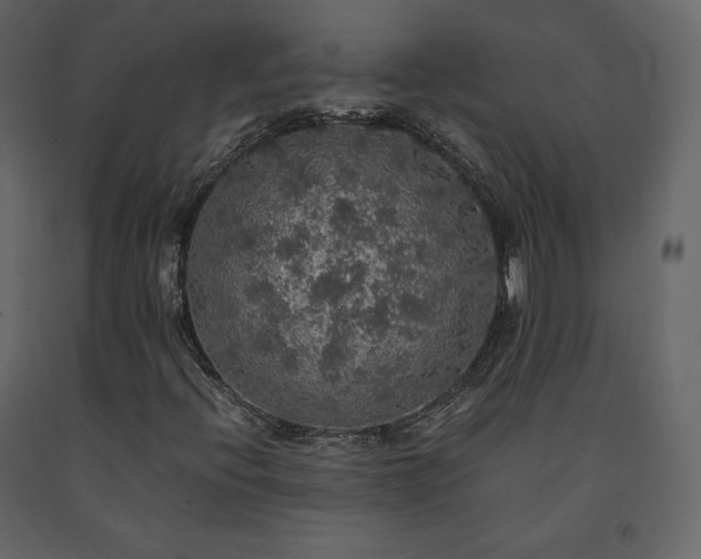X0000091551396200708241745