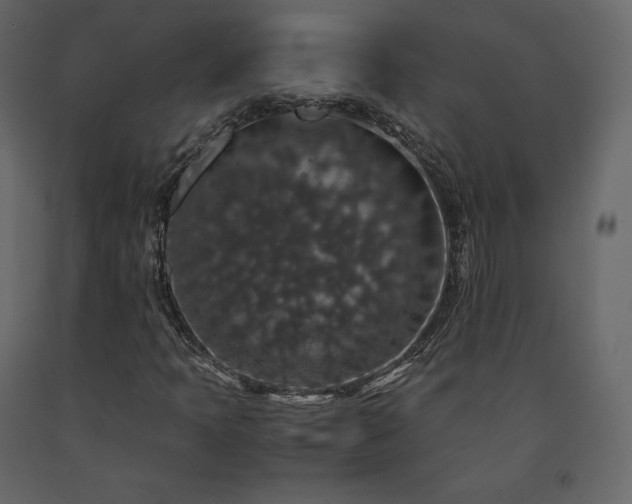 X0000091551397200708241745