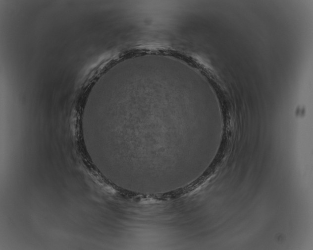 X0000091551398200708241745