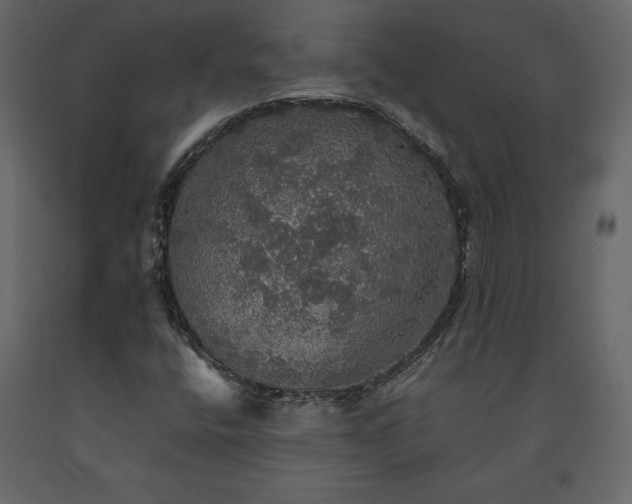 X0000091551400200708241745