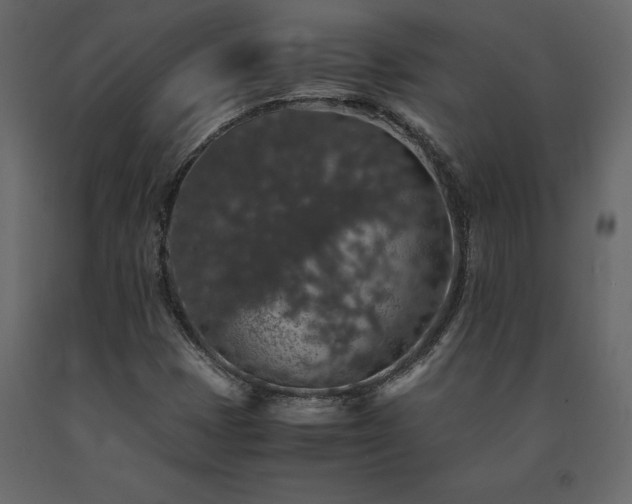X0000091551401200708241745