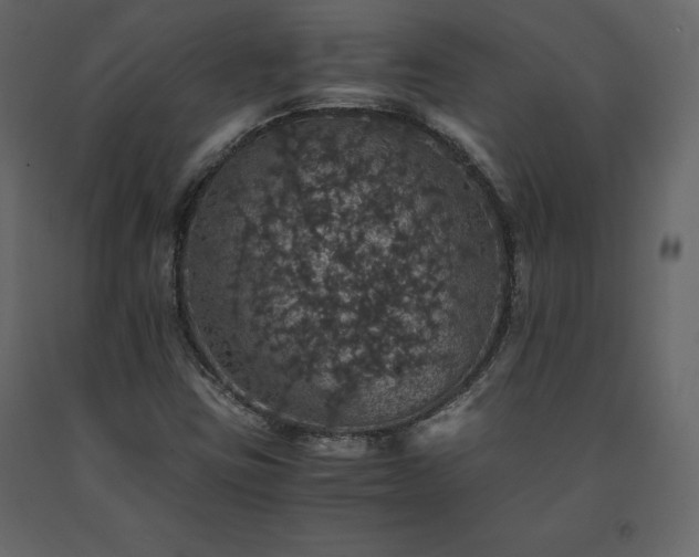 X0000091551403200708241745