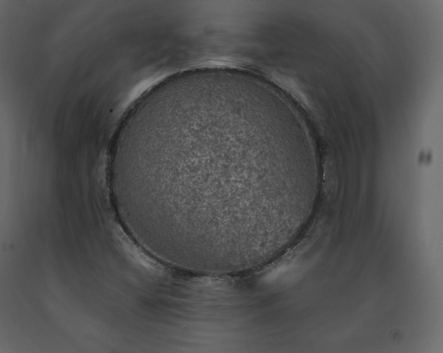 X0000091551404200708241745