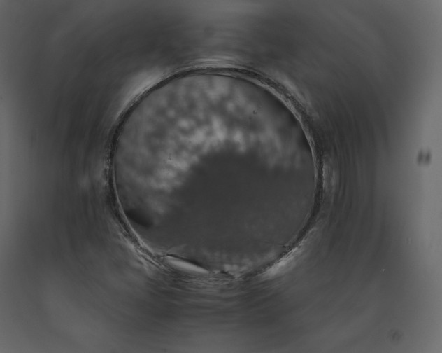 X0000091551405200708241745