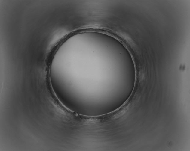 X0000091551406200708241745