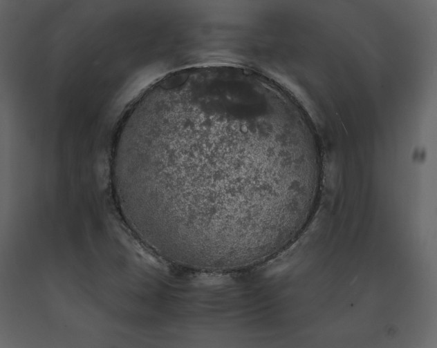 X0000091551407200708241745