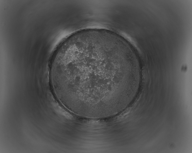 X0000091551408200708241745