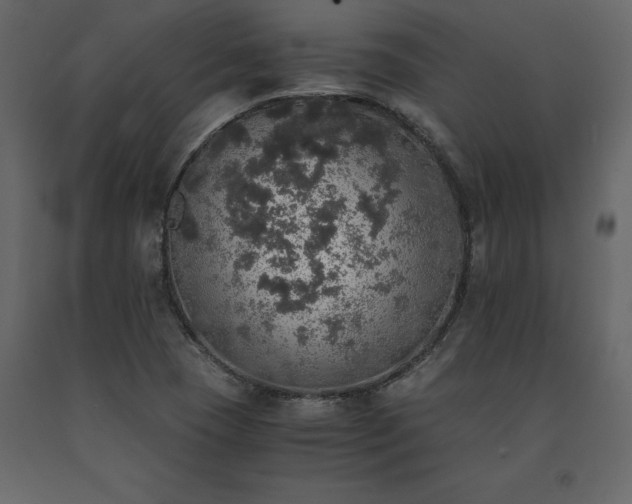 X0000091551409200708241745