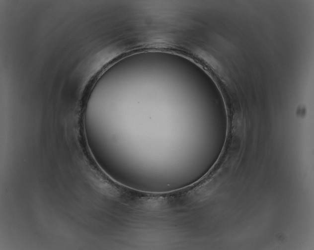 X0000091551410200708241745