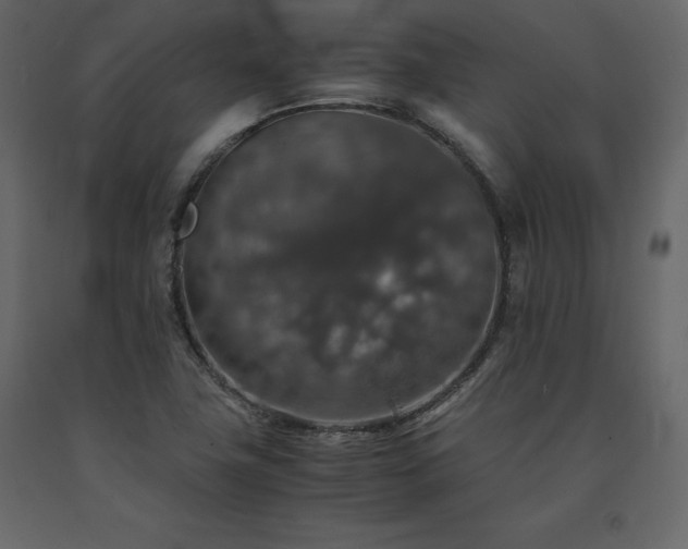 X0000091551411200708241745