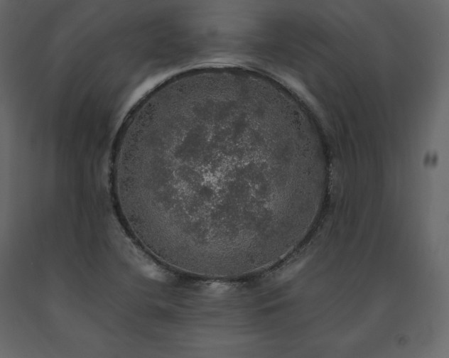 X0000091551412200708241745