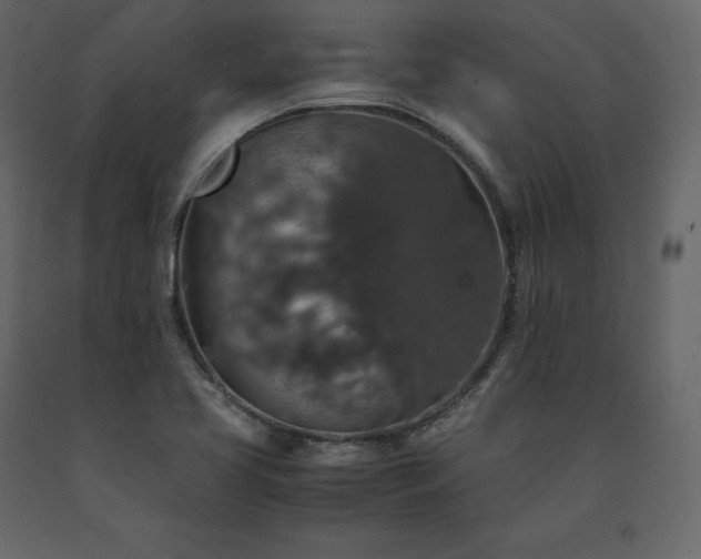 X0000091551413200708241745