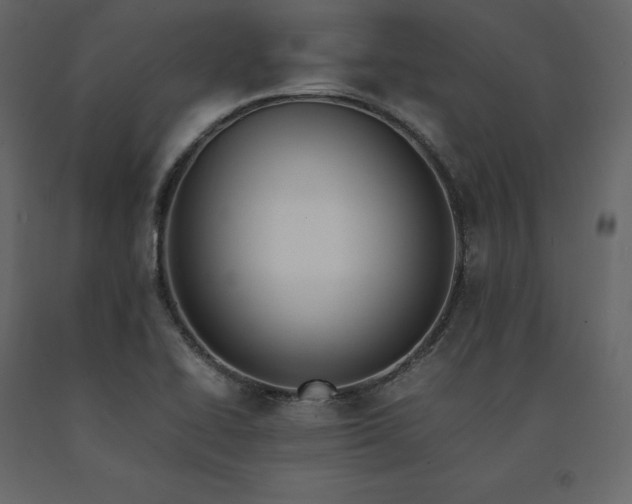X0000091551414200708241745