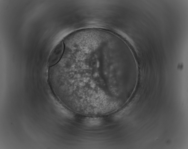 X0000091551415200708241745
