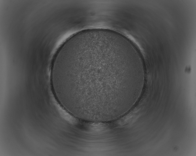X0000091551416200708241745