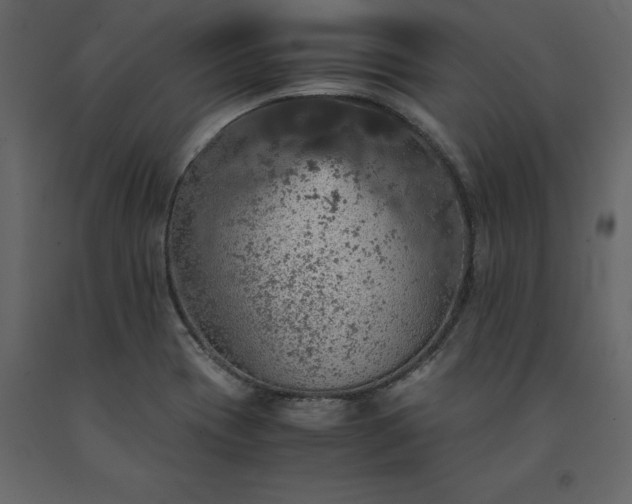 X0000091551417200708241745