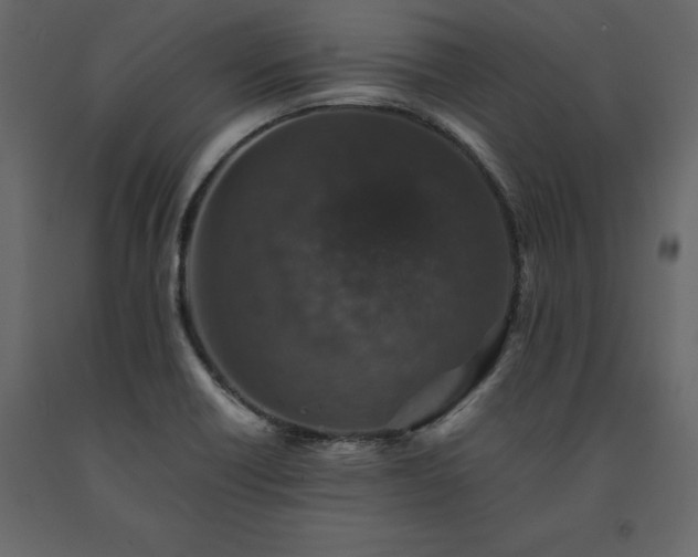 X0000091551418200708241745