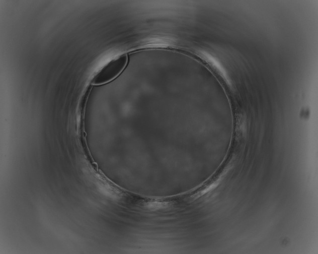 X0000091551419200708241745