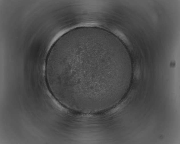 X0000091551420200708241745