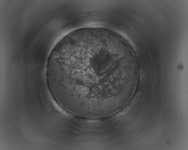 X0000091551421200708241745