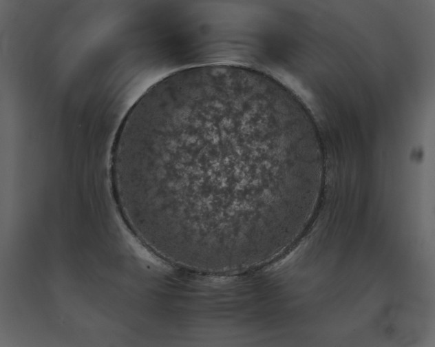 X0000091551423200708241745