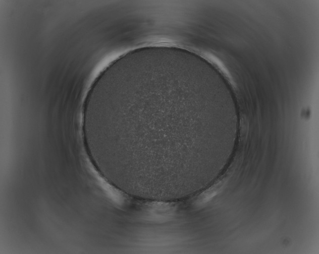 X0000091551424200708241745