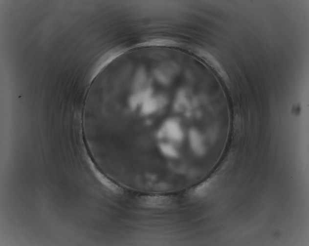 X0000091551425200708241745
