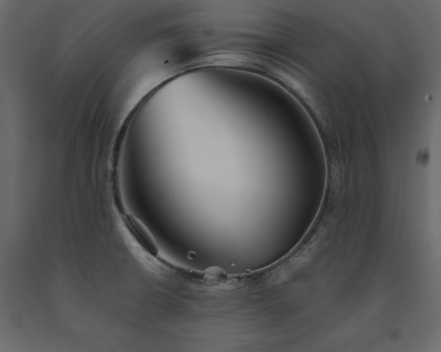 X0000091551426200708241745