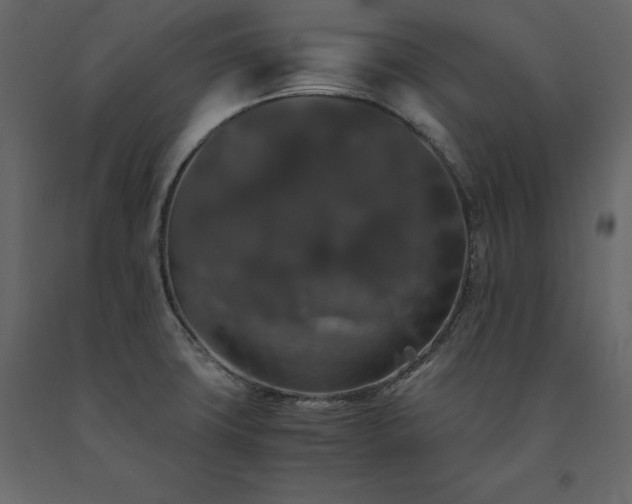 X0000091551427200708241745