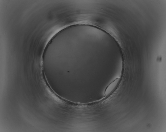 X0000091551428200708241745