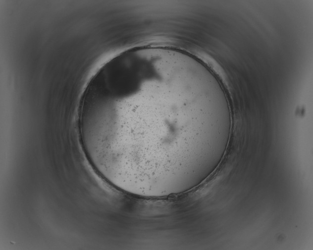 X0000091551429200708241746