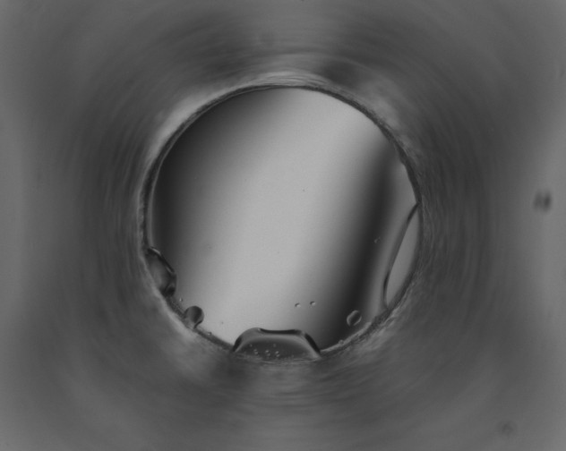 X0000091551430200708241746