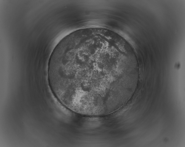 X0000091551431200708241746